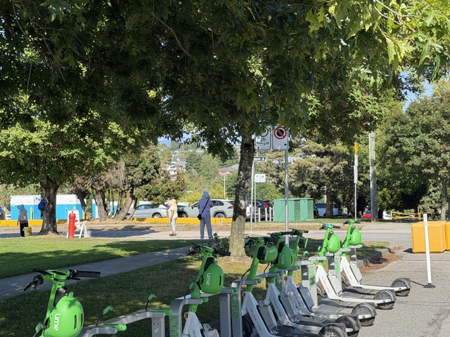 Shared scooters beside a street
