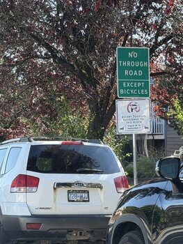 Traffic Calming and Vehicle Emissions in East Vancouver